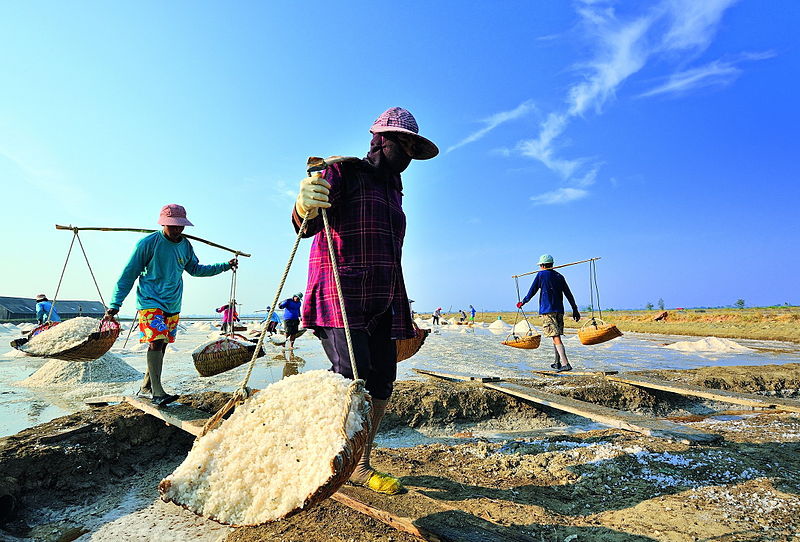 Samutsakorn_Salt_Field_2 (800px)