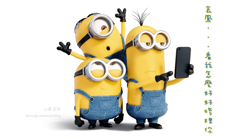 2015_minions_800px_cover final 2015_minions_800px_cover final