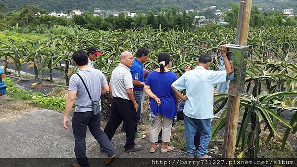 請有機老師指導種植