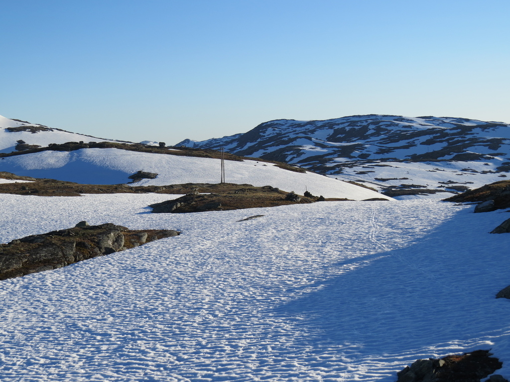 IMG_6925.jpg IMG_6925.jpg