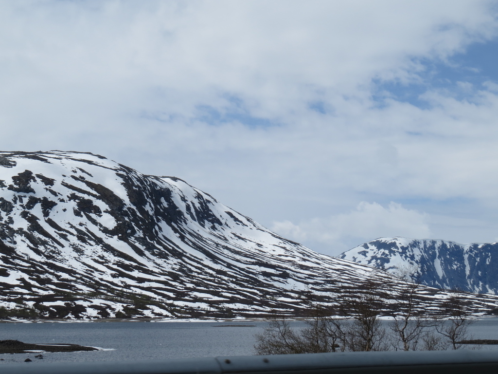 IMG_6991.jpg IMG_6991.jpg