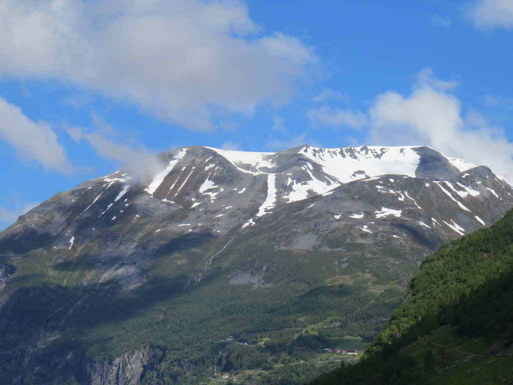 IMG_7138.jpg IMG_7138.jpg