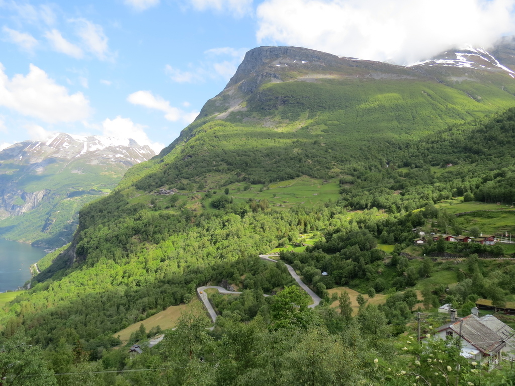 IMG_7139.jpg IMG_7139.jpg