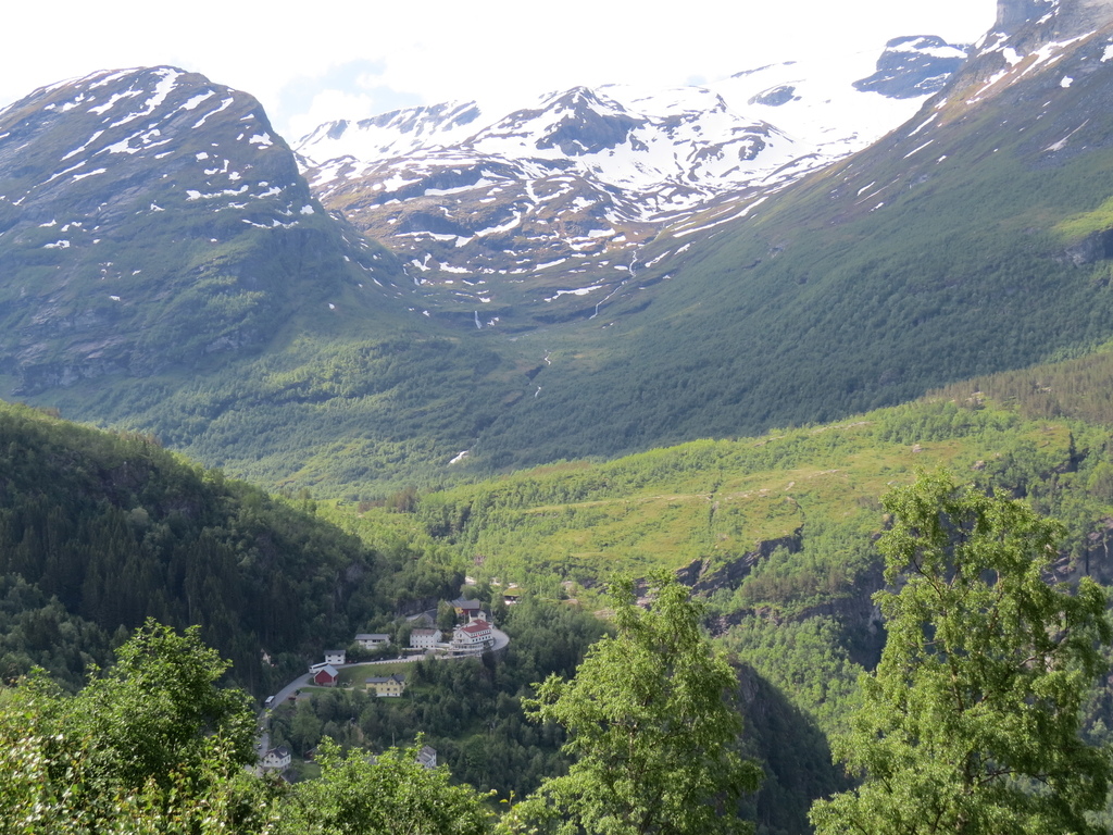 IMG_7187.jpg IMG_7187.jpg