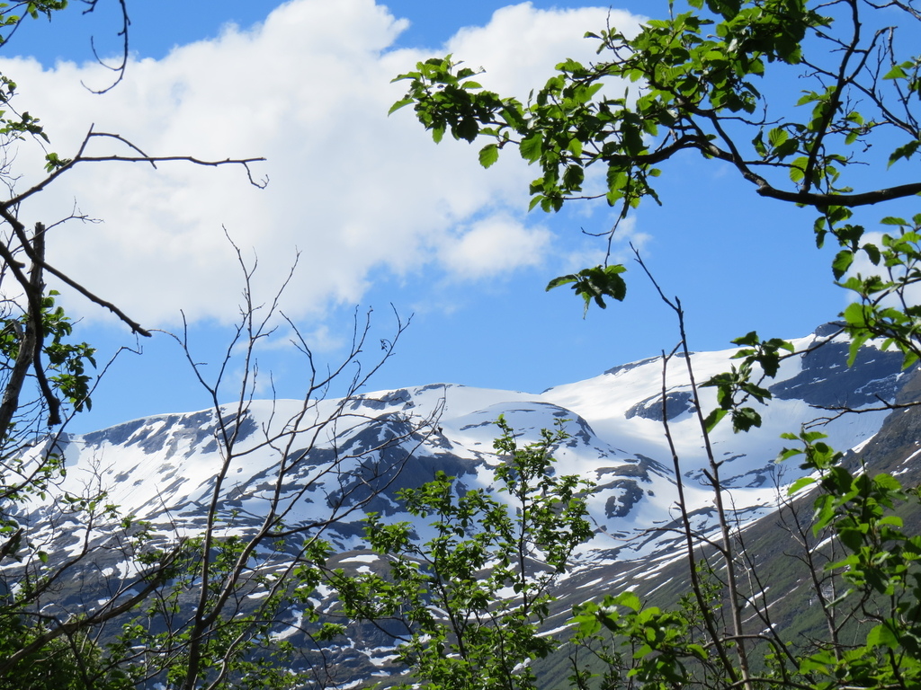 IMG_7201.jpg IMG_7201.jpg