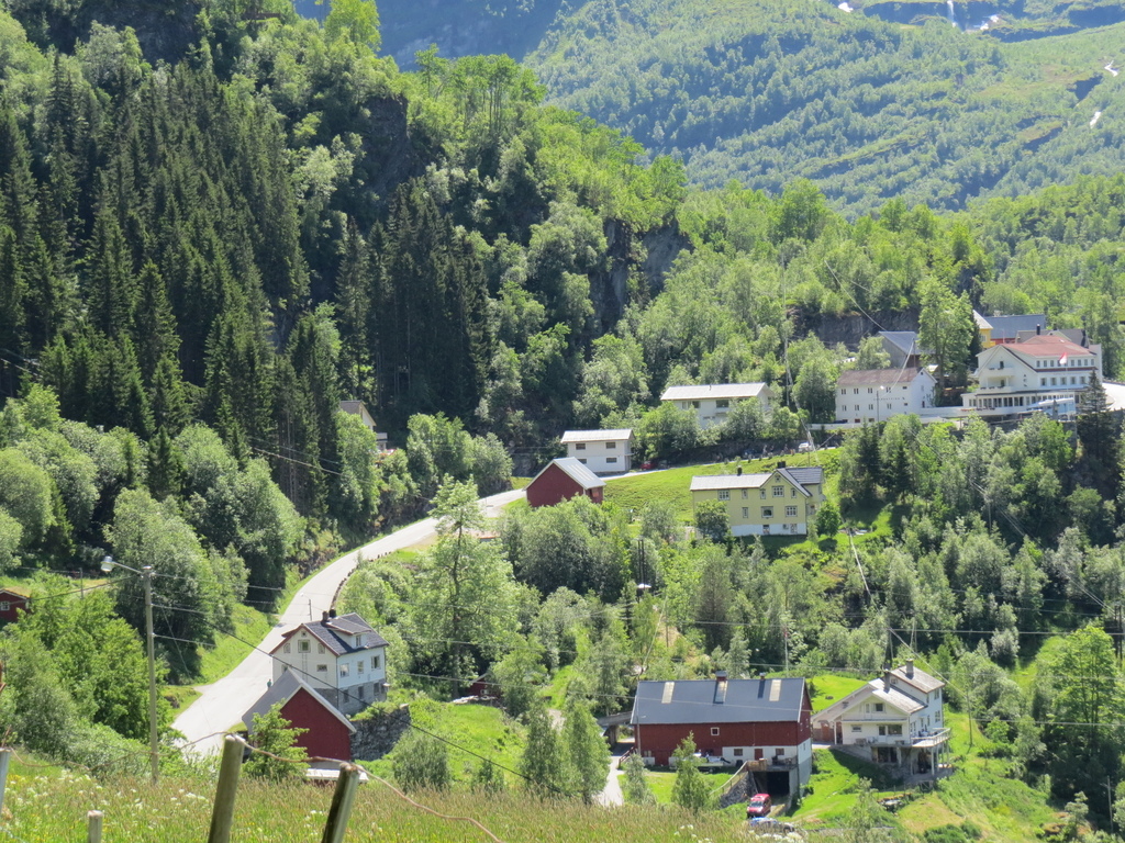 IMG_7248.jpg IMG_7248.jpg