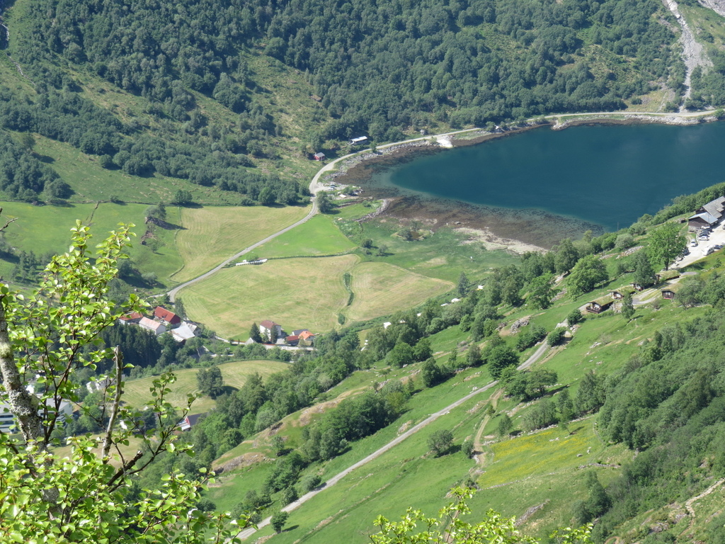 IMG_7228.jpg IMG_7228.jpg