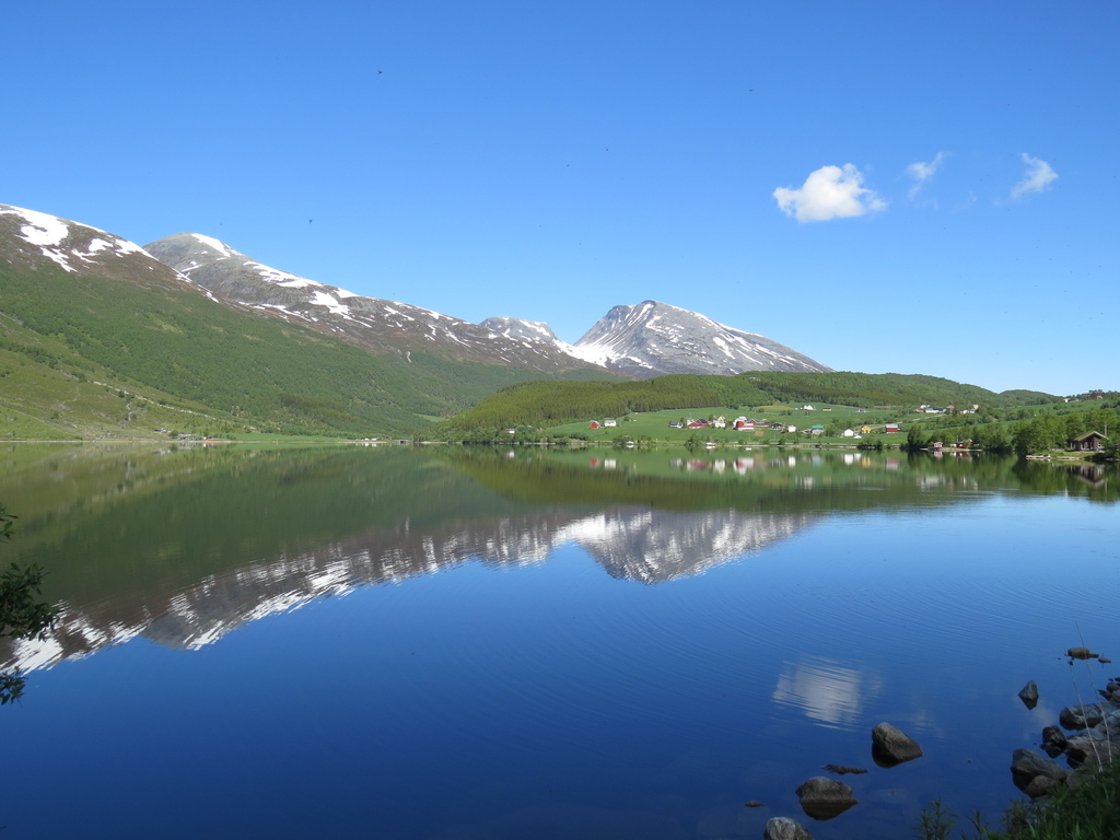 IMG_7328.jpg IMG_7328.jpg