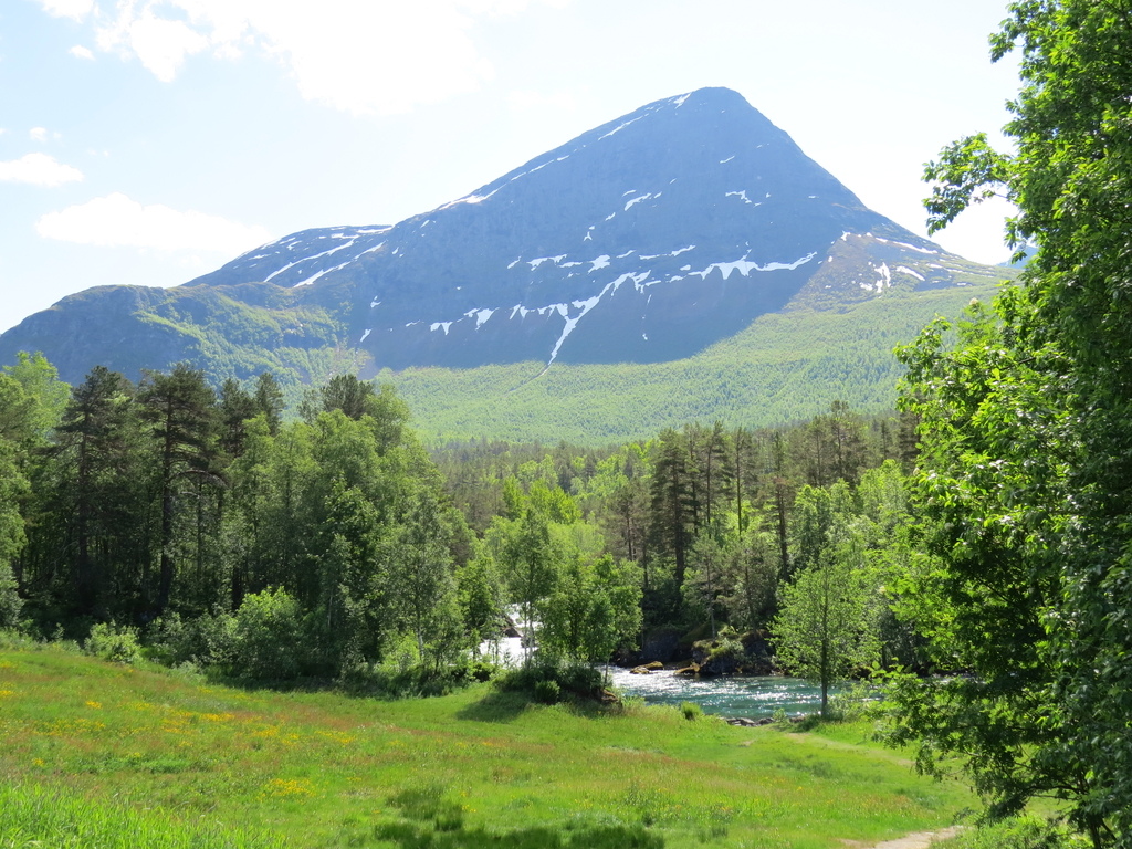 IMG_7388.jpg IMG_7388.jpg