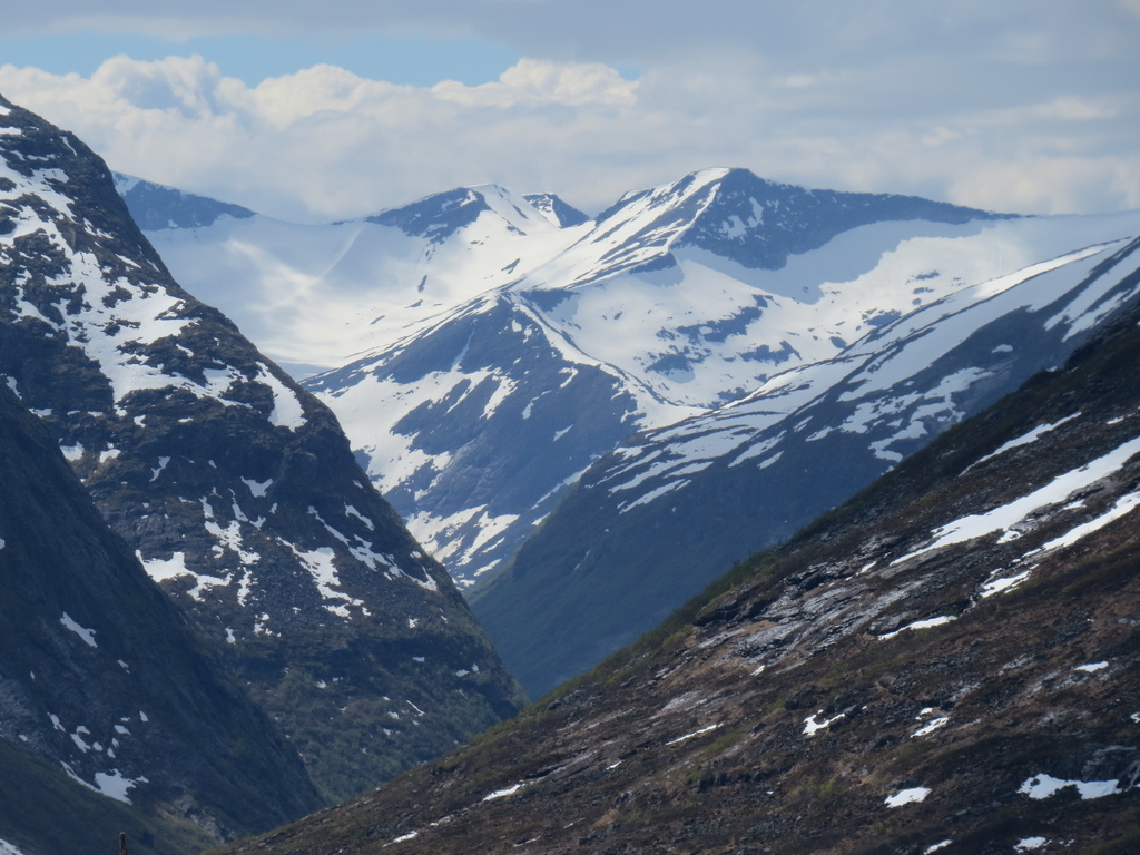 IMG_7438.jpg IMG_7438.jpg