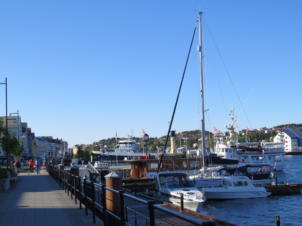 IMG_7535.jpg IMG_7535.jpg