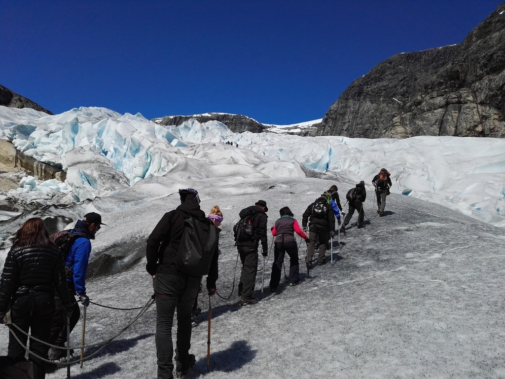 IMG_20160608_140706.jpg IMG_20160608_140706.jpg