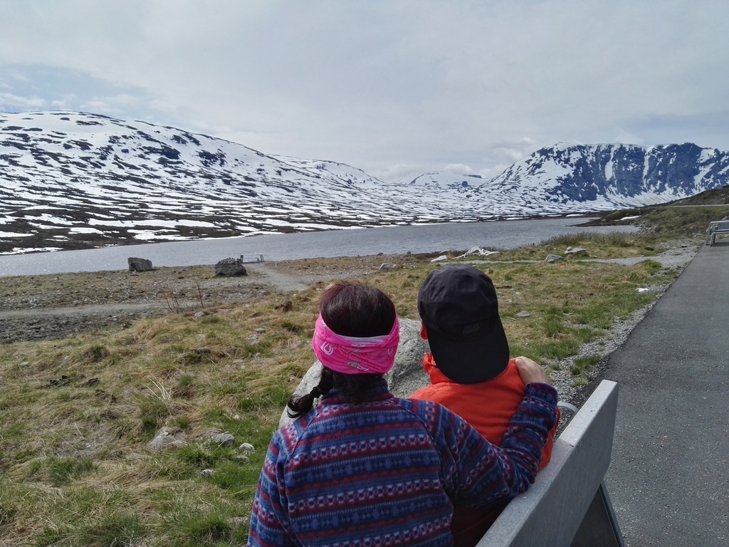 IMG_20160609_133016.jpg IMG_20160609_133016.jpg