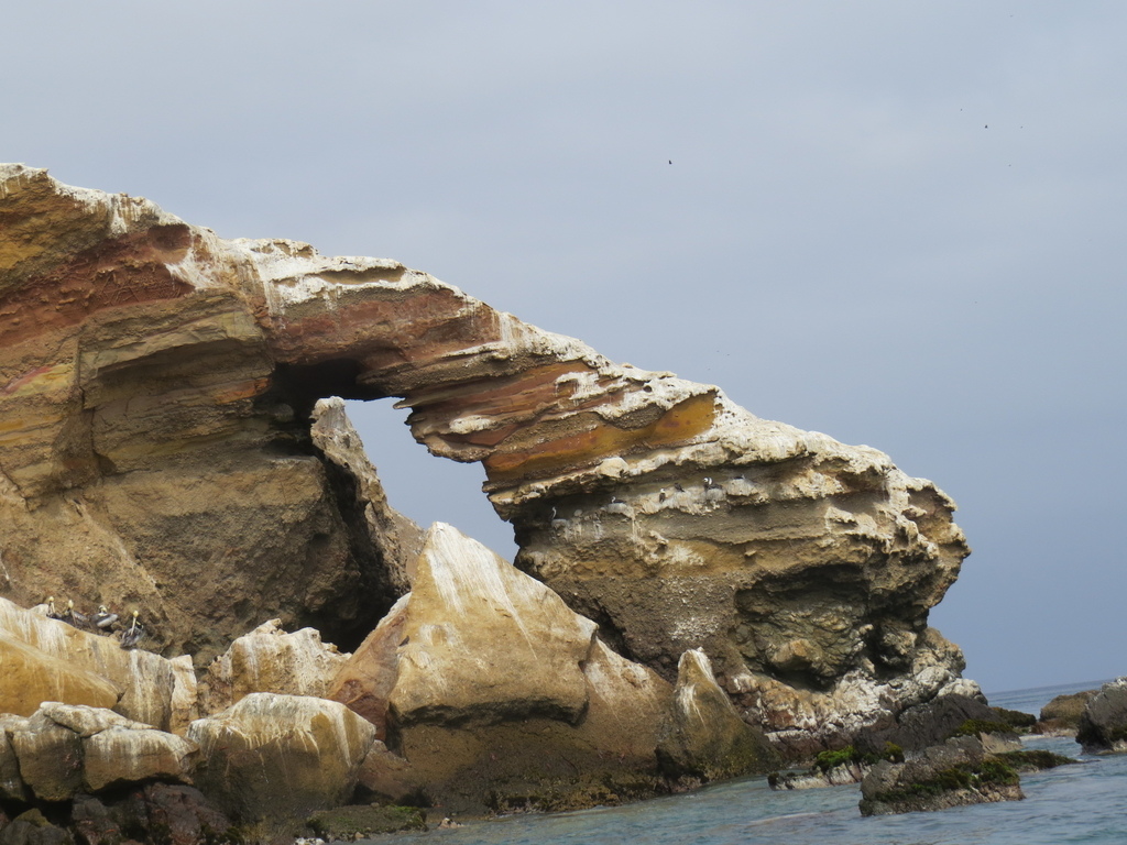 Ballestas Islands_Peru_Barry Hsiung2017 (2).jpg Ballestas Islands_Peru_Barry Hsiung2017 (2).jpg