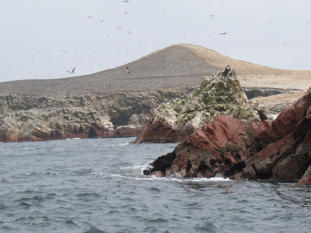Ballestas Islands_Peru_Barry Hsiung2017(1).jpg Ballestas Islands_Peru_Barry Hsiung2017(1).jpg