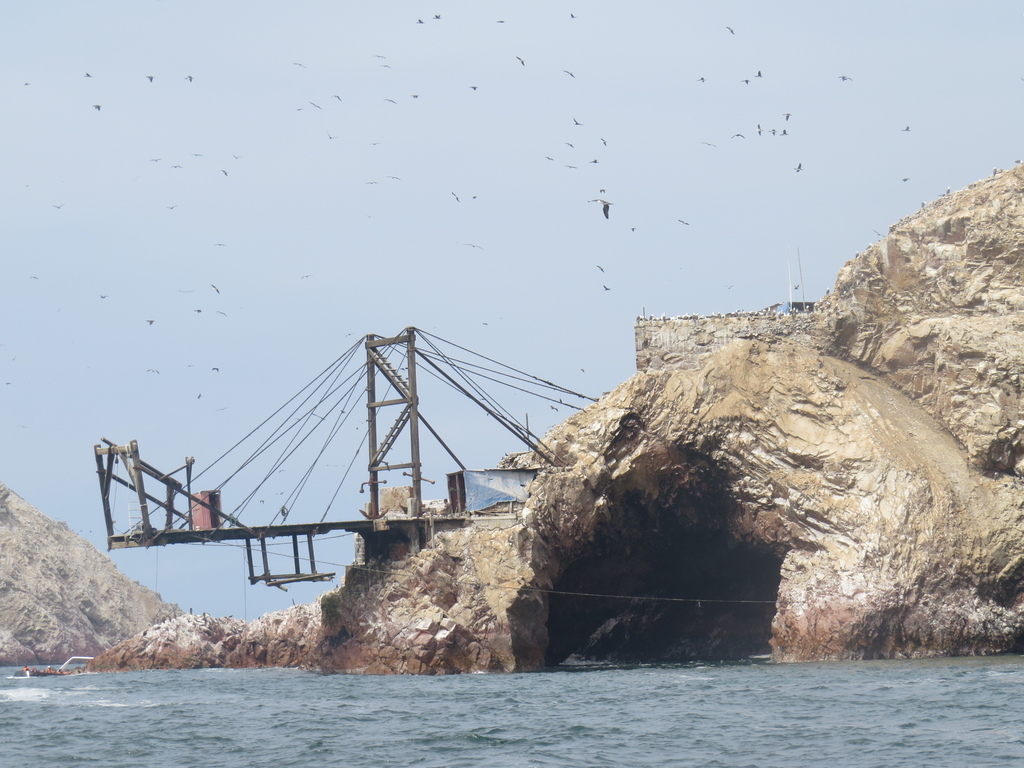 Ballestas Islands_Peru_BHsiung2017 (2).jpg Ballestas Islands_Peru_BHsiung2017 (2).jpg