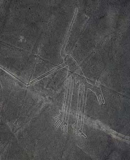 Nazca Line_Dog_Kate Chang2017.jpg Nazca Line_Dog_Kate Chang2017.jpg