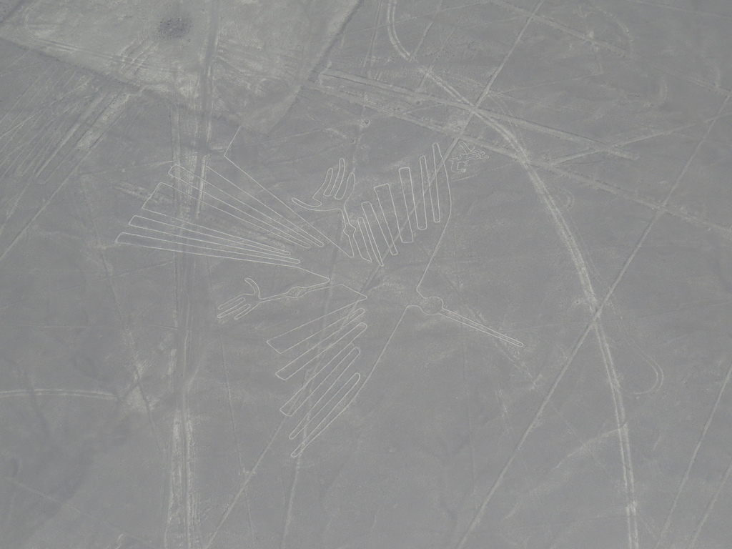Nazca Line_Condor_Barry Hsiung2017(1).jpg Nazca Line_Condor_Barry Hsiung2017(1).jpg