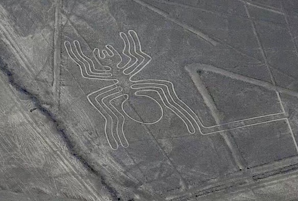 Nazca Line_Spider_Kate Chang2017.jpg Nazca Line_Spider_Kate Chang2017.jpg