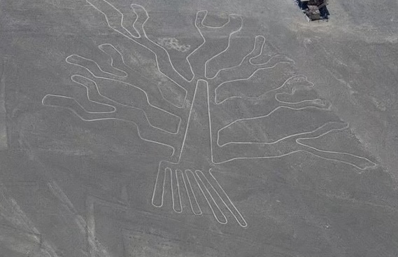 Nazca Line_Tree_Kate Chang2017(1).jpg Nazca Line_Tree_Kate Chang2017(1).jpg