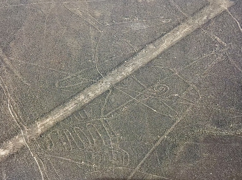 Nazca Line_Whale_Kate Chang2017.jpg Nazca Line_Whale_Kate Chang2017.jpg