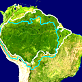 371px-Amazon_biome_outline_map.svg(1).jpg