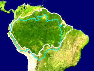 371px-Amazon_biome_outline_map.svg.jpg