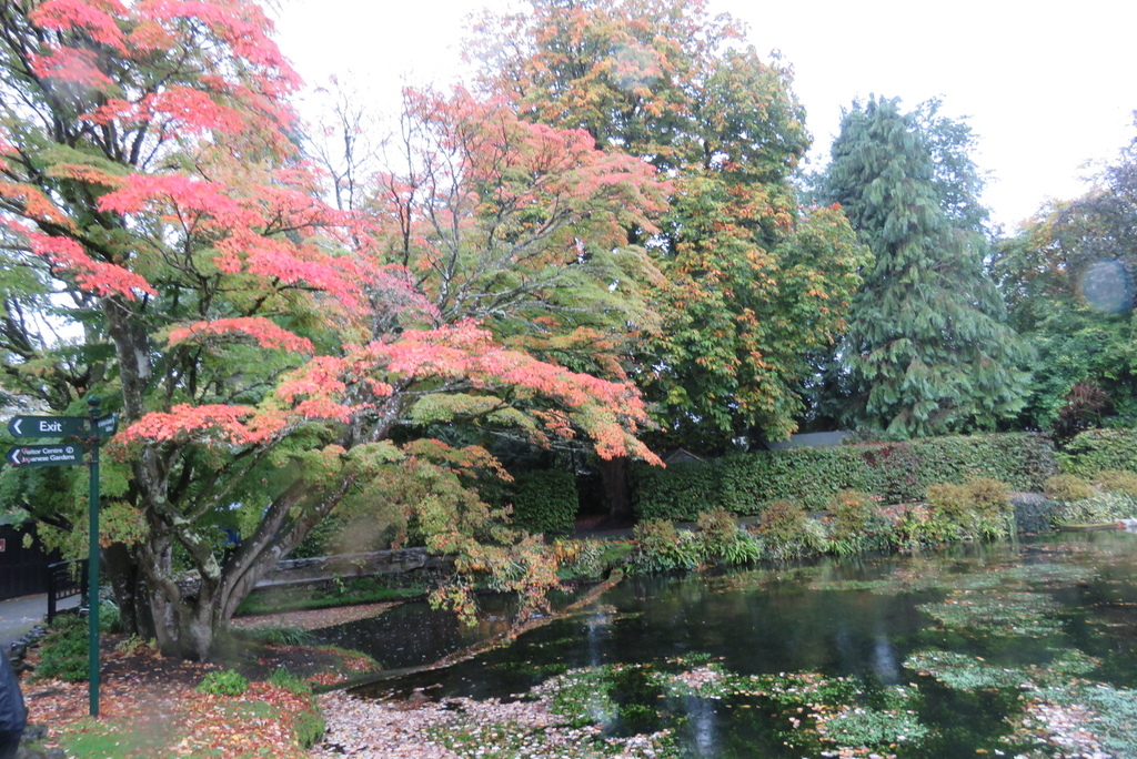 IMG_7155.jpg