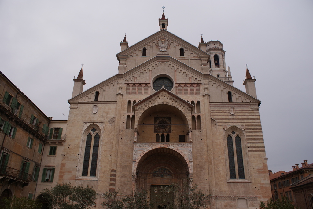 DSC01335.jpg