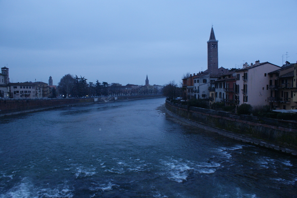 DSC01365.jpg