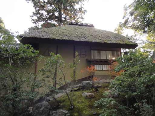 DSC04195.JPG