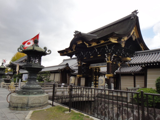 DSC02570.JPG