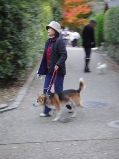 DSC03378.JPG