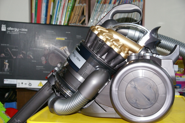 Dyson DC22