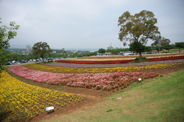 大溪花海農場