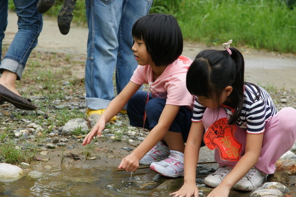 森林小學