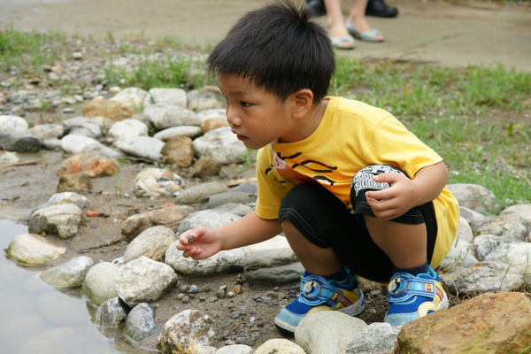 森林小學