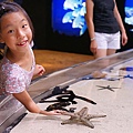 沖縄美ら海水族館