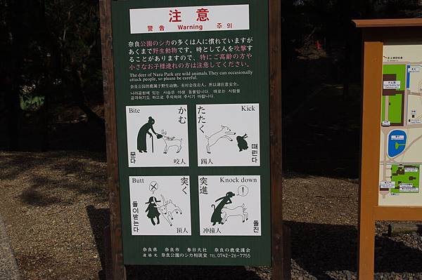 IMGP1111.JPG