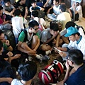 小英熊  報到情形 (22).JPG