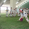 桃猿 (21).JPG