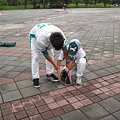 貓熊-外野課程 (21).jpg