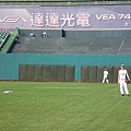 黑熊vs浣熊 (15).JPG