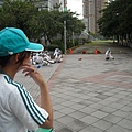 5內野 (2)