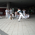 6外野 (1)