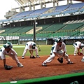 08.03大熊-內野守備無人能敵- (12).JPG