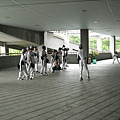 浣熊-內野課程 (35).jpg