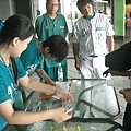 小英熊報到囉~ (49).jpg