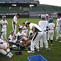 浣熊vs貓熊 (17).jpg