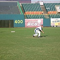 黑熊vs浣熊 (26).JPG